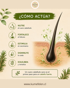 Shampoo y Acondicionador Anticaída Natural Küme Felen