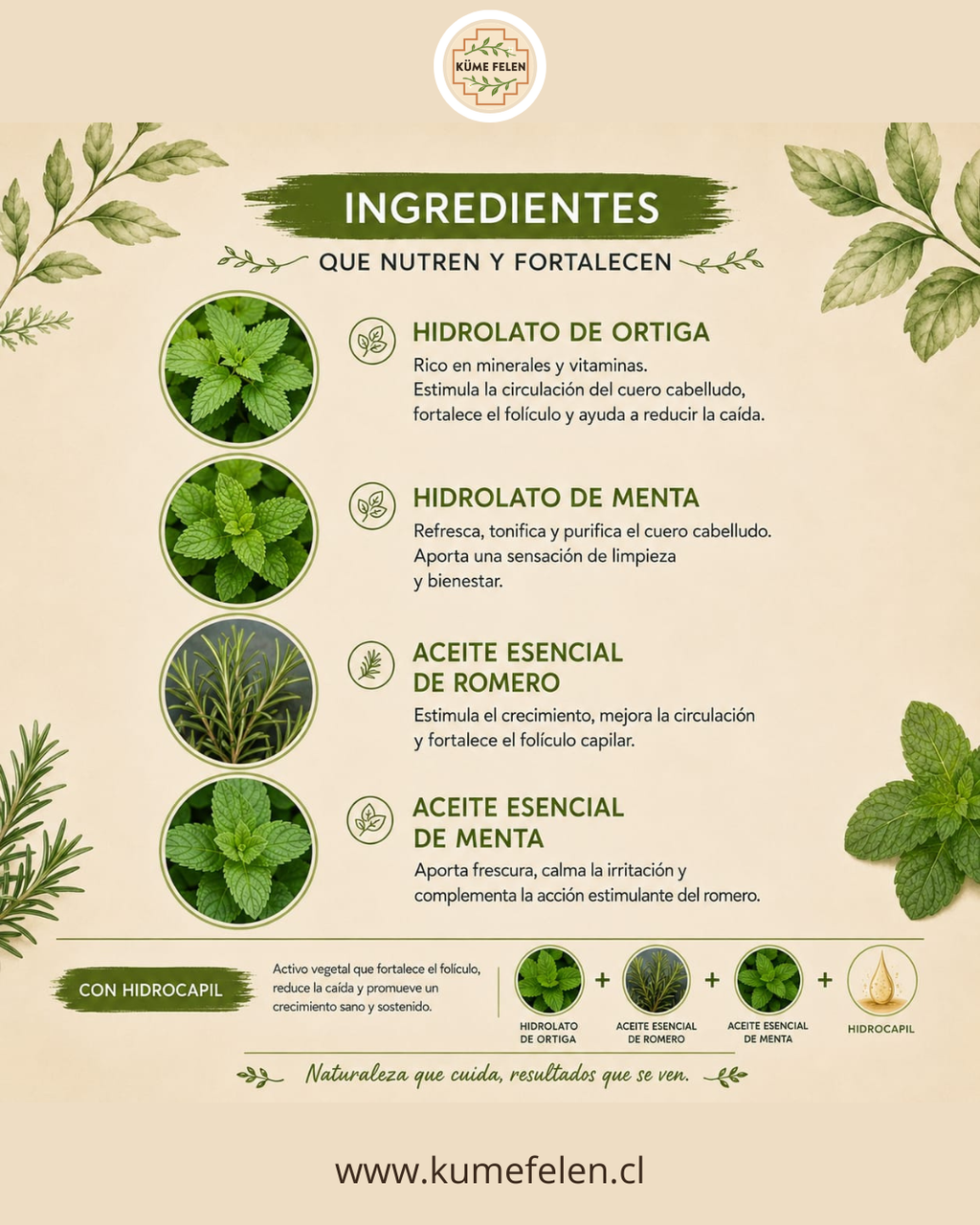 Shampoo y Acondicionador Anticaída Natural Küme Felen