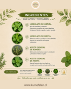 Shampoo y Acondicionador Anticaída Natural Küme Felen