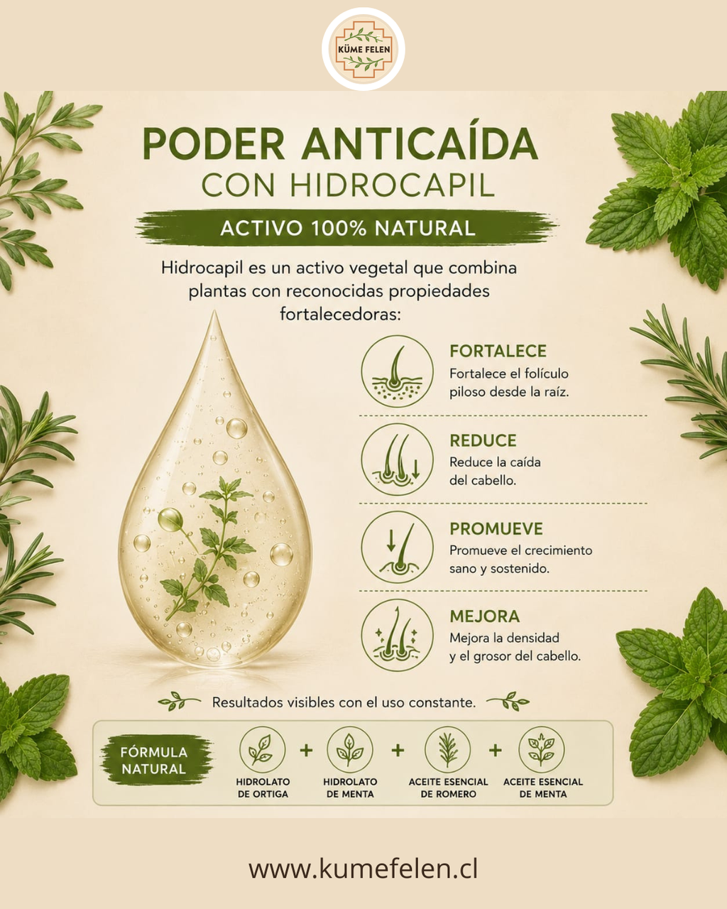 Shampoo y Acondicionador Anticaída Natural Küme Felen