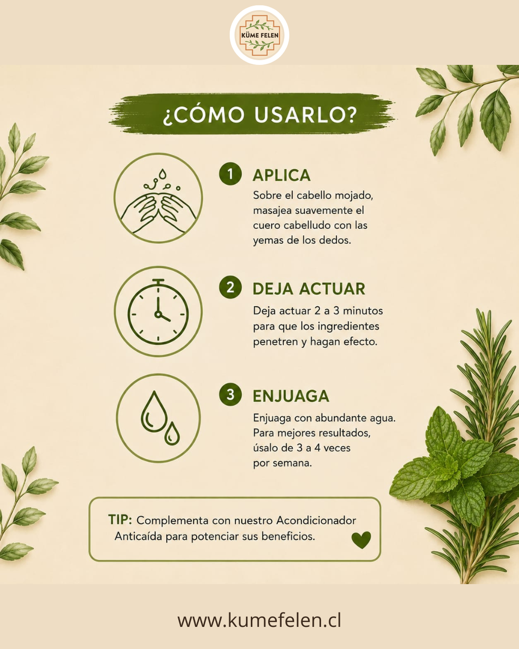 Shampoo y Acondicionador Anticaída Natural Küme Felen
