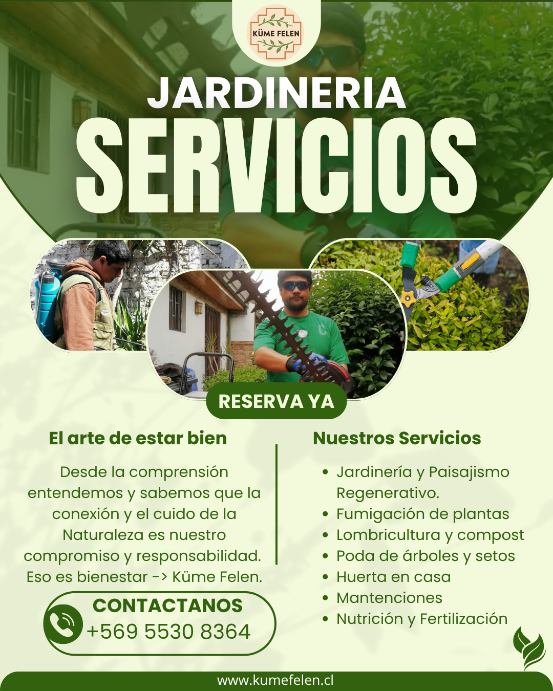 🌱 Jardinería Regenerativa y Sustentable – Reconecta con la Tierra, Regenera tu Espacio