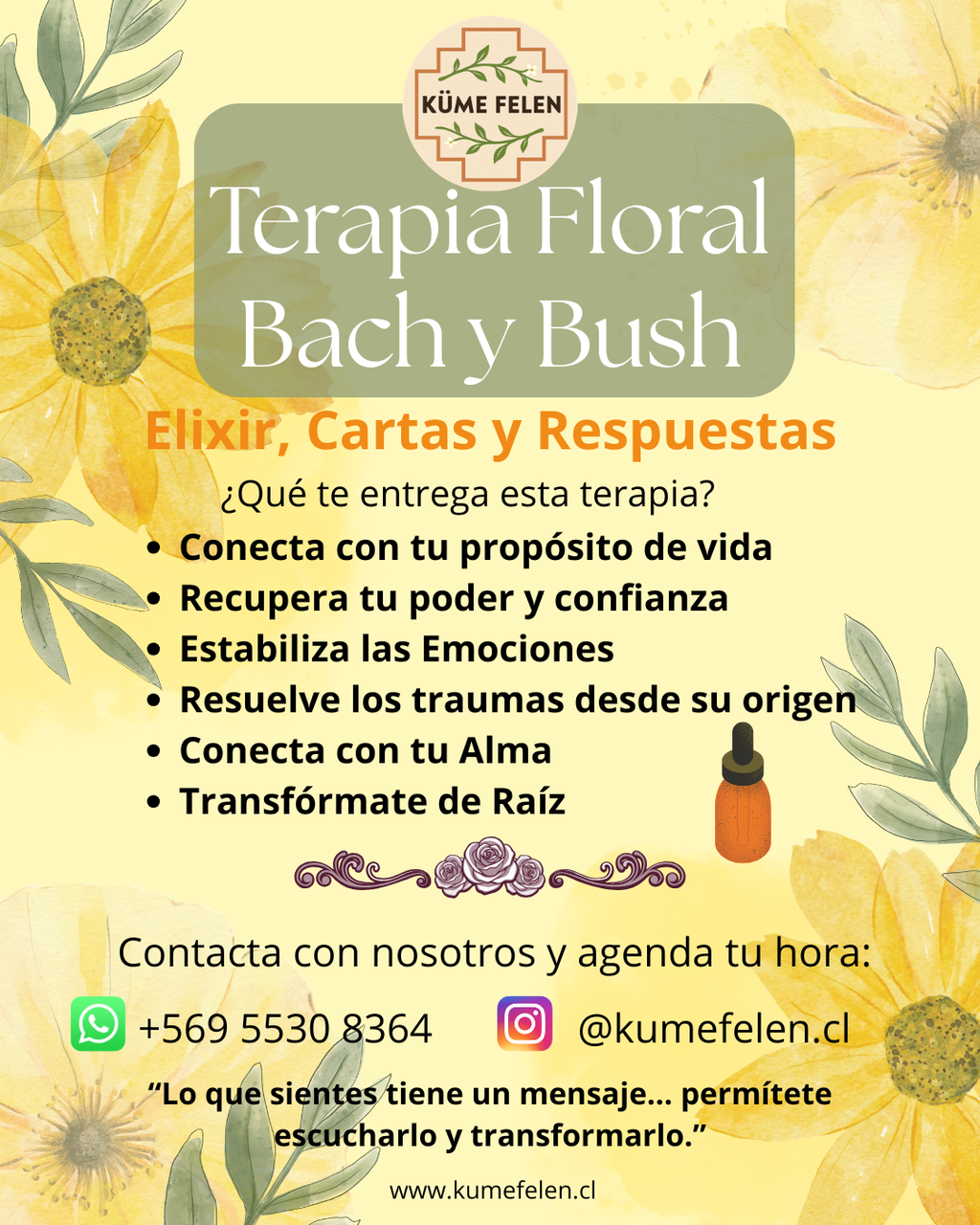 Sesión de Terapia Floral "Bach y Bush"