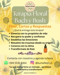 Sesión de Terapia Floral "Bach y Bush"
